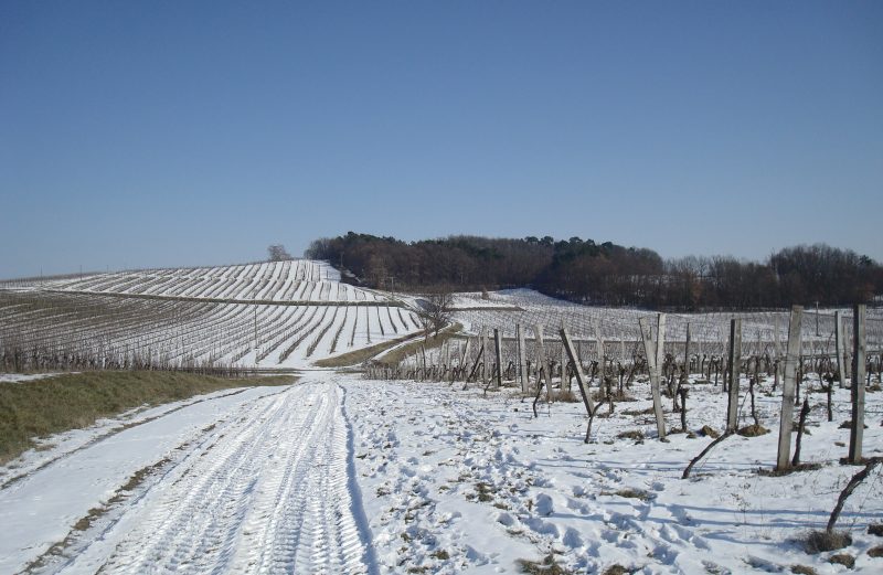 vin-bergerac-monbazillac-gerales